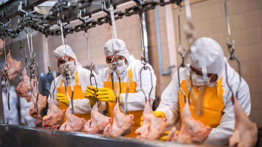 طرح توجیهی کشتارگاه صنعتی مرغ ✍️ جواز تاسیس + وام بانکی - تدوین طرح توجیهی «بیزنس پلن» و مطالعات بازار در وبسایت فاز صفر